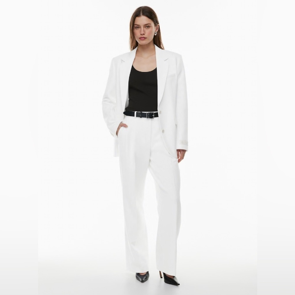 Aritzia Babaton Pleated Pant
